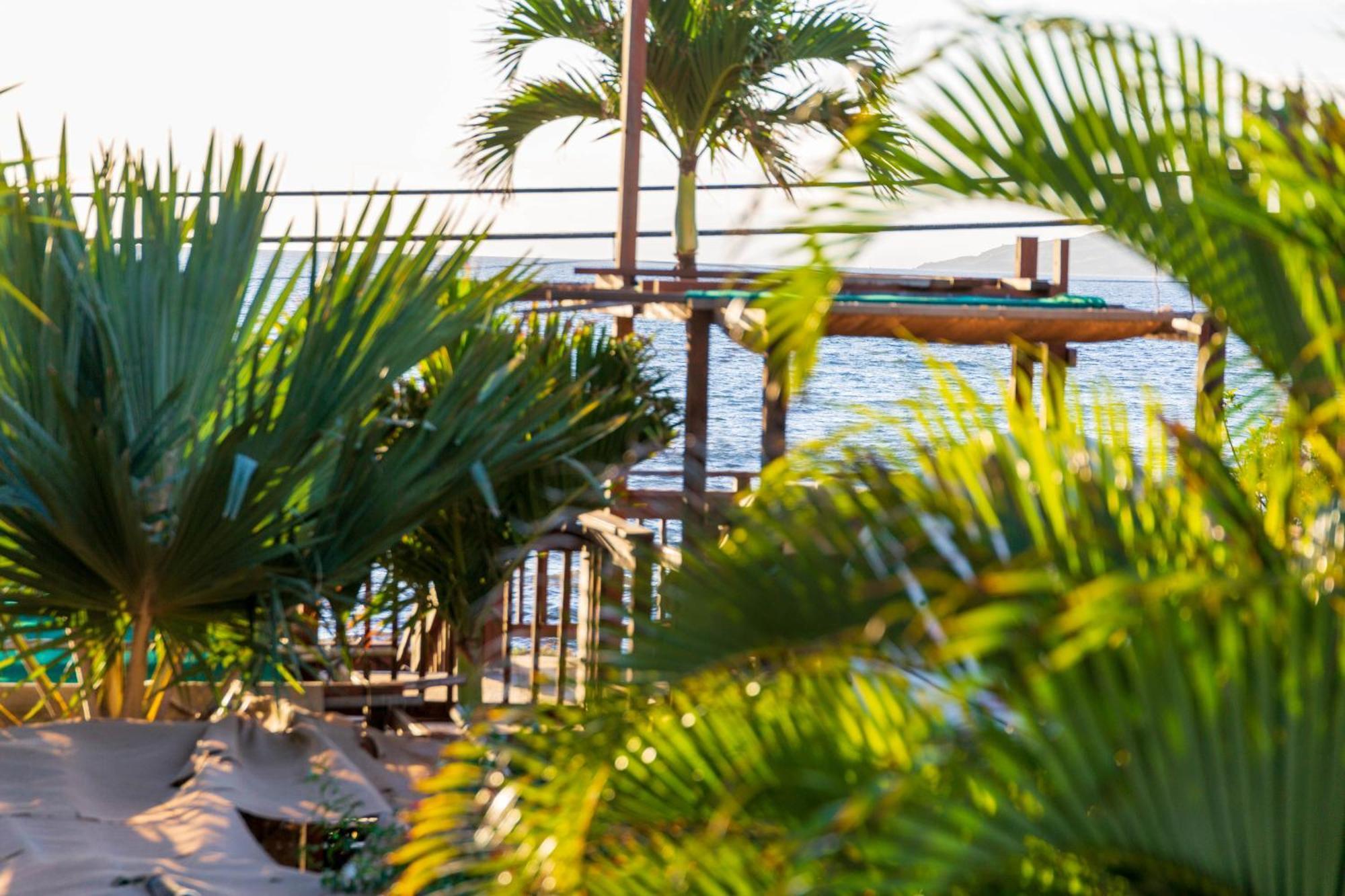 Bamboo Suite, 1 Bedroom, Sleeps 4, Pool & Bbq, Pre-Renovation Summer Sale Kihei Luaran gambar