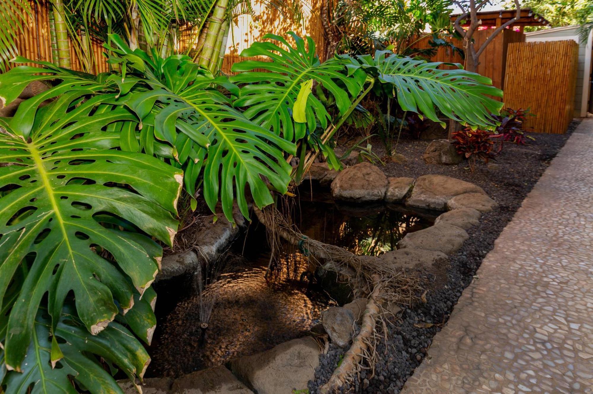Bamboo Suite, 1 Bedroom, Sleeps 4, Pool & Bbq, Pre-Renovation Summer Sale Kihei Luaran gambar